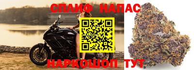 бошки Донецк