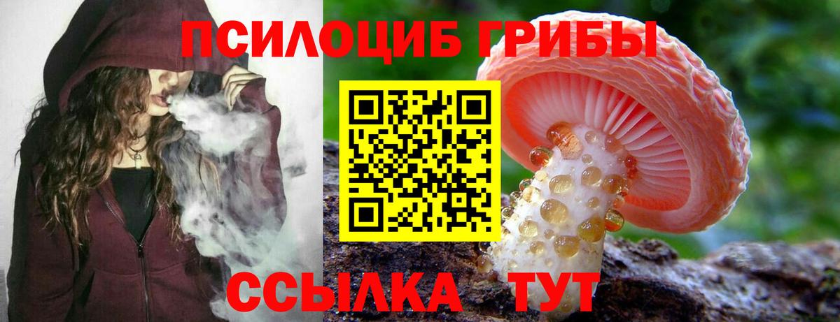 Псилоцибиновые грибы мицелий  Псилоцибиновые грибы Psilocybine cubensis  Вход с VPN  Майкоп 