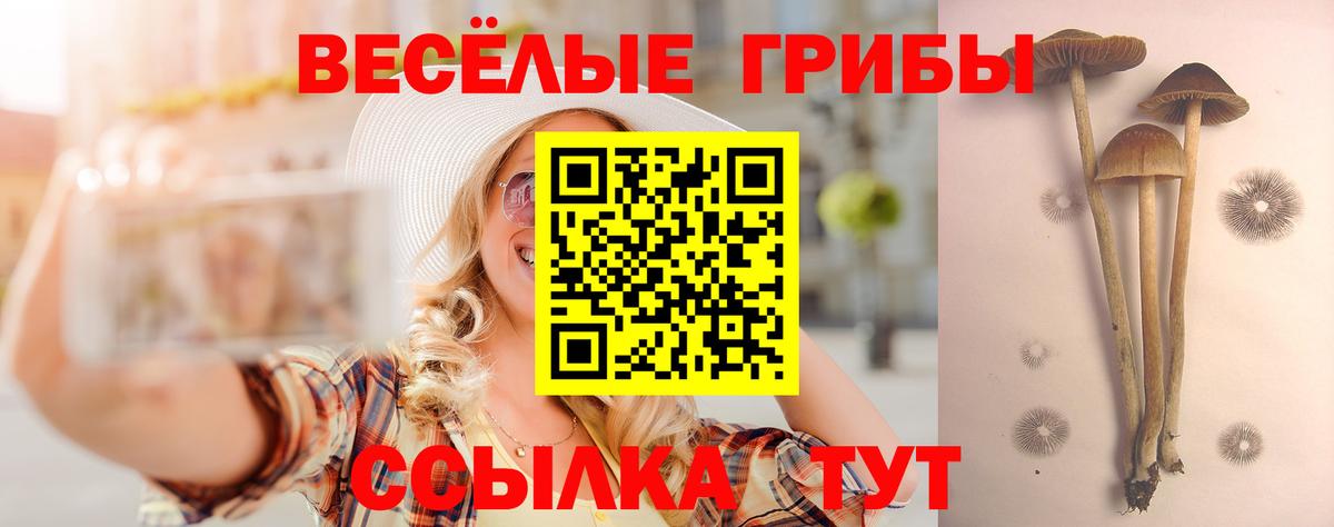 Псилоцибиновые грибы GOLDEN TEACHER Майкоп